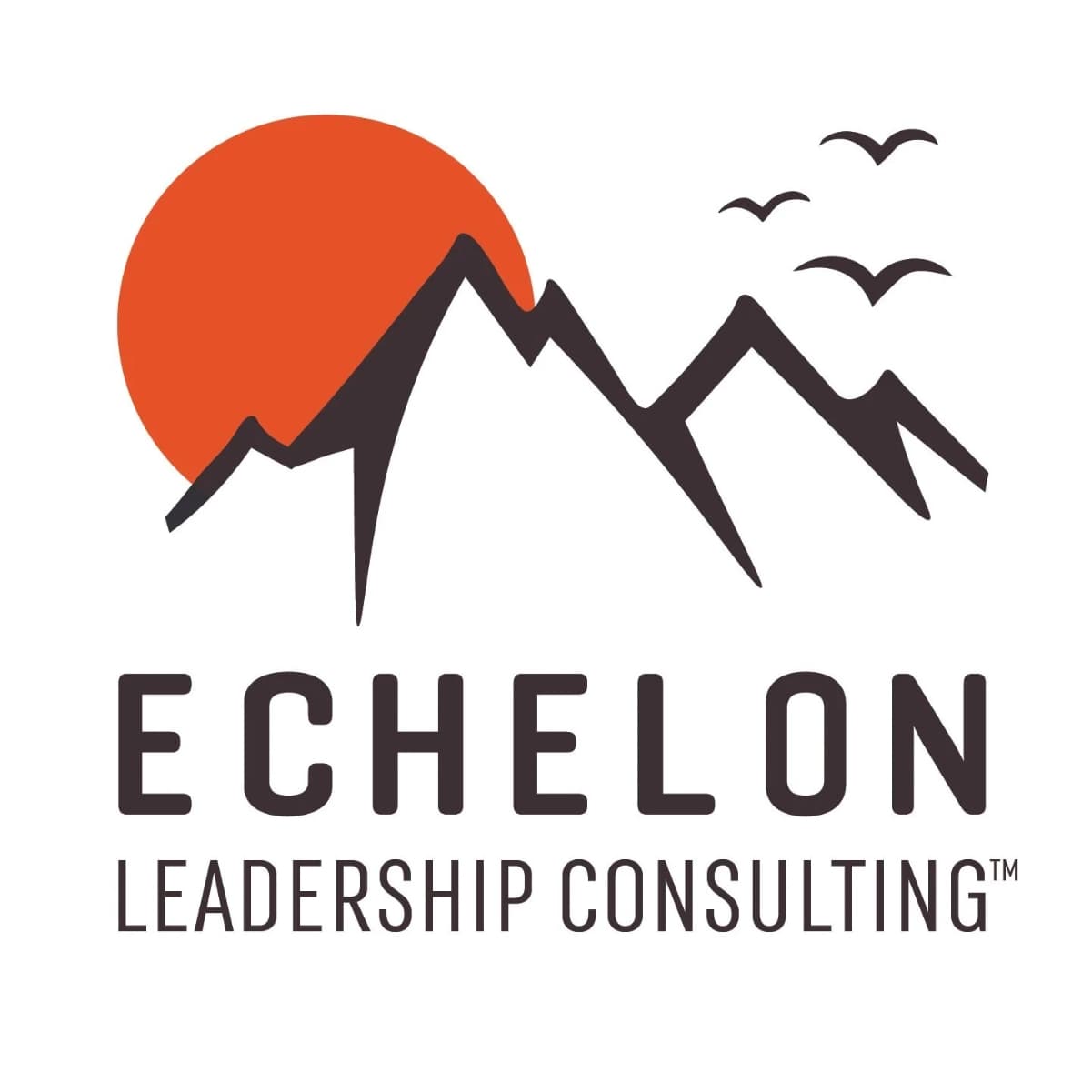 Echelon Leadership Consulting